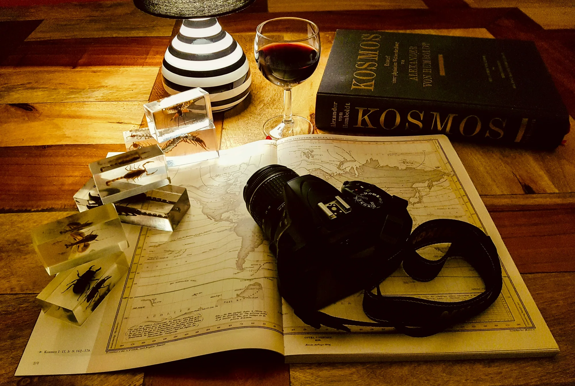 Tailor-Made Travel Programs